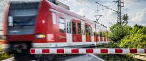 Bild zur Meldung